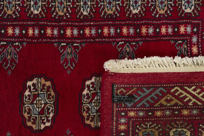 Pakistan Buchara 3ply - 1