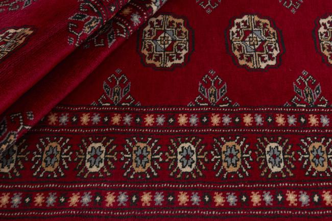 Pakistan Buchara 3ply - 2