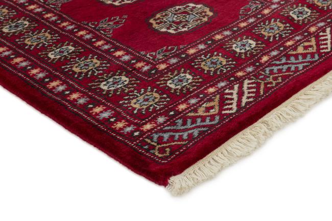 Pakistan Buchara 3ply - 3