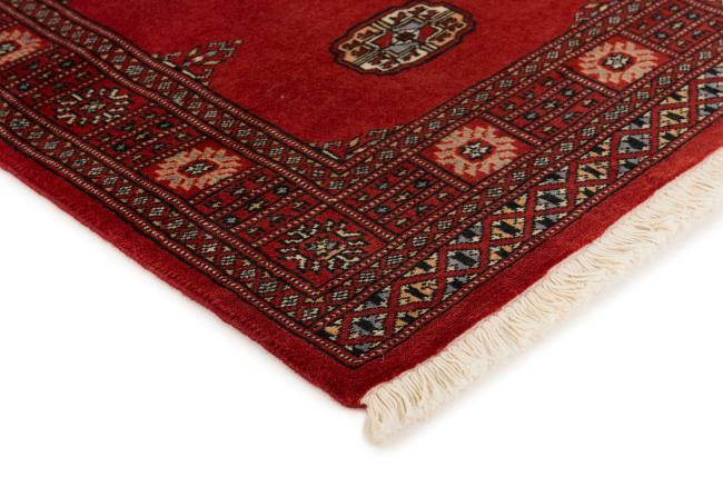 Pakistan Buchara 2ply - 3