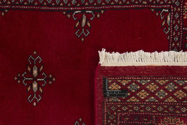 Pakistan Buchara 2ply - 1