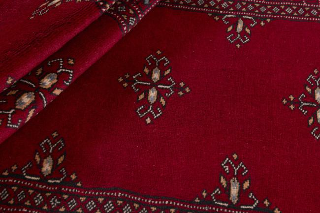 Pakistan Buchara 2ply - 2