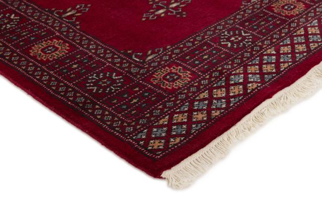 Pakistan Buchara 2ply - 3