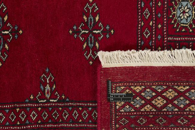 Pakistan Buchara 2ply - 1