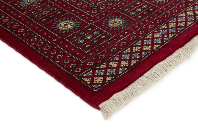 Pakistan Buchara 2ply - 3