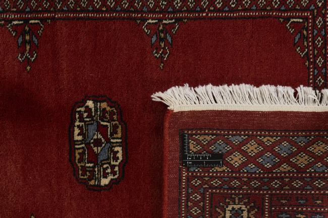 Pakistan Buchara 3ply - 1