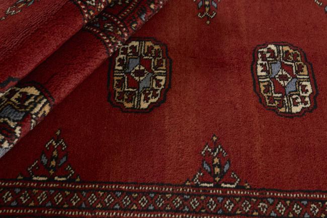 Pakistan Buchara 3ply - 2