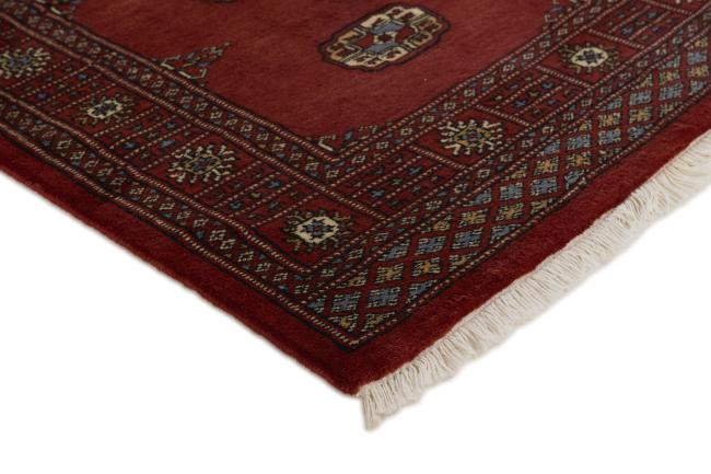 Pakistan Buchara 3ply - 3