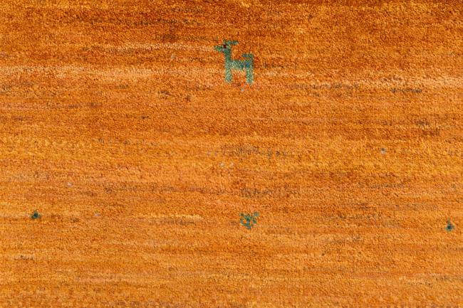 Persan Gabbeh Pure - 6