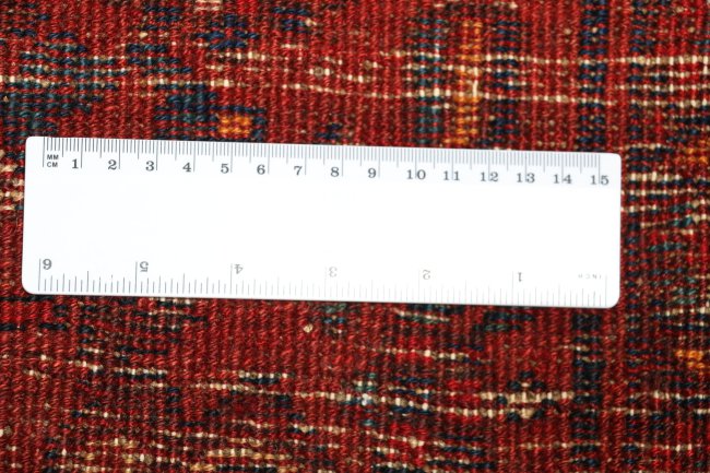 Koliai - 7