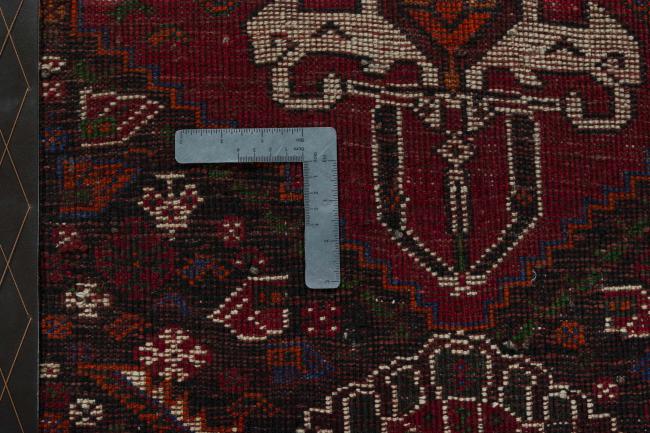 Shiraz - 4