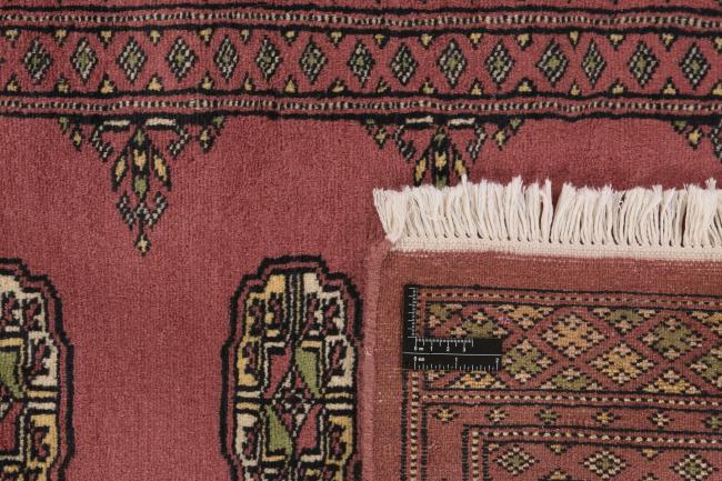 Pakistan Buchara 2ply - 1