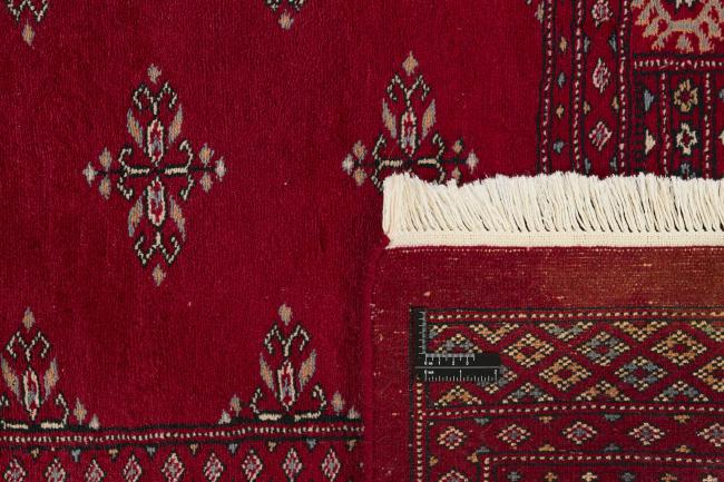 Pakistan Buchara 3ply - 1