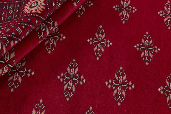 Pakistan Buchara 3ply - 2