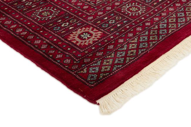 Pakistan Buchara 3ply - 3