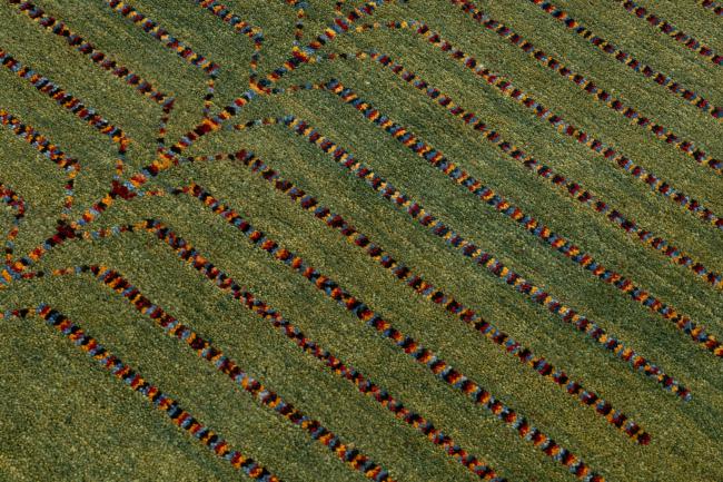 Persian Gabbeh Yalamehbaft - 4