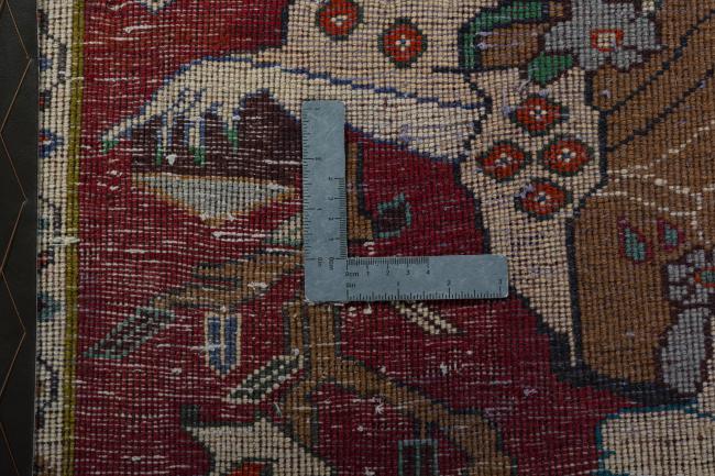 Shiraz - 4