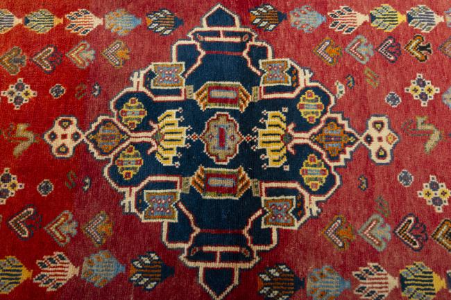 Shiraz - 5