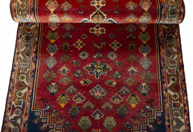 Shiraz - 8
