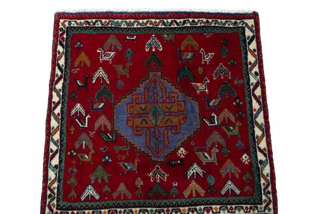 Shiraz - 3