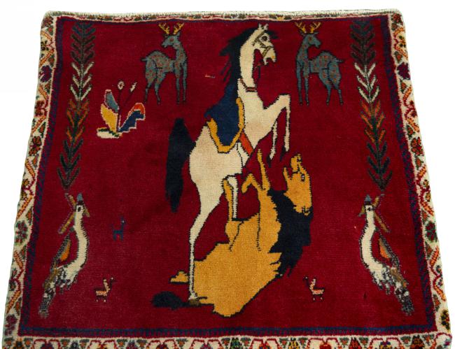 Shiraz - 3