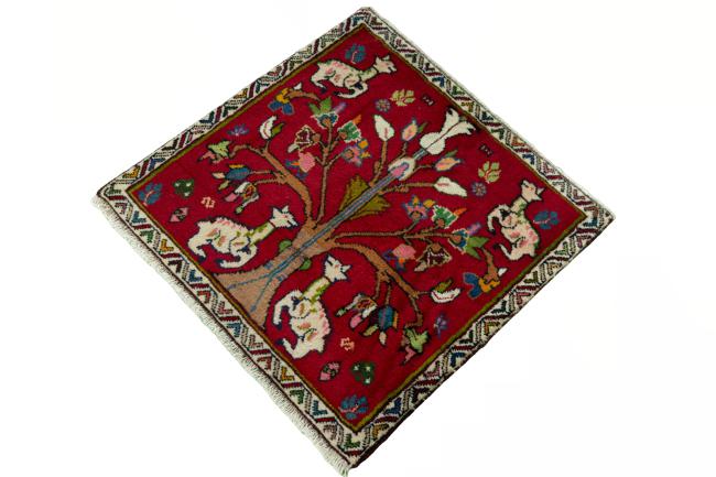 Shiraz - 1