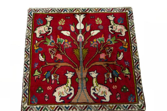Shiraz - 3