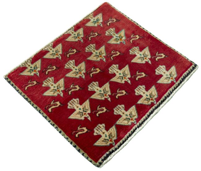Shiraz - 2