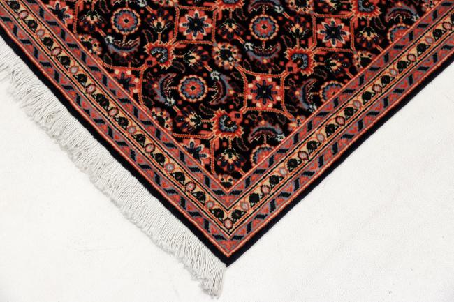 Tabriz Mahi - 3