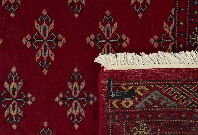 Pakistan Buchara 2ply - 1