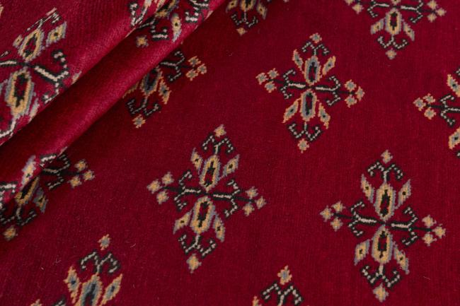 Pakistan Buchara 2ply - 2
