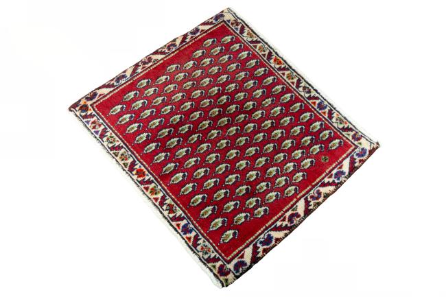 Shiraz - 1