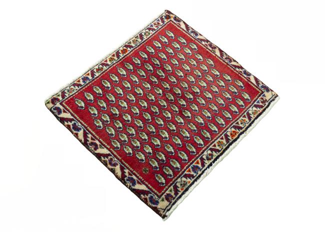 Shiraz - 2