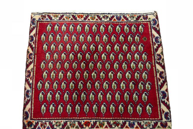 Shiraz - 3