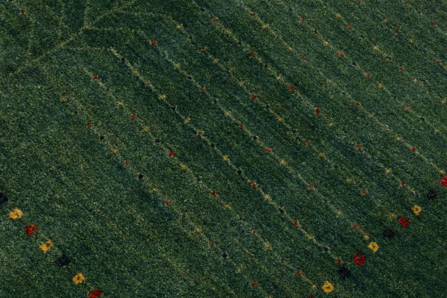 Persia Gabbeh Yalamehbaft - 4