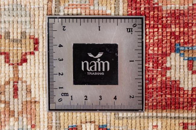 Ziegler Farahan - 10