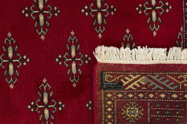 Pakistan Buchara 2ply - 1