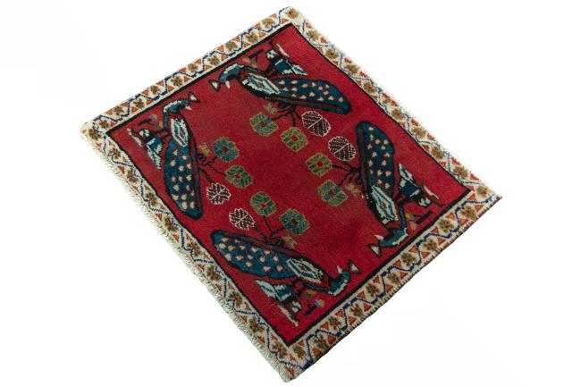 Shiraz - 1