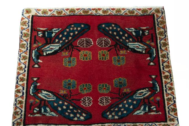 Shiraz - 3