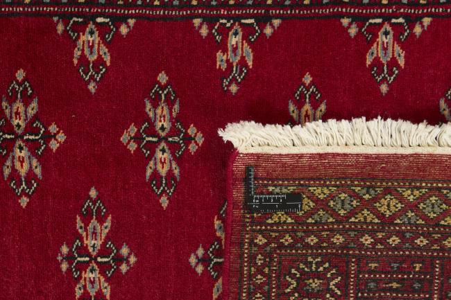Pakistan Buchara 2ply - 1