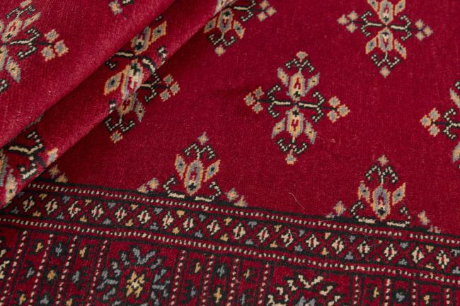 Pakistan Buchara 2ply - 2
