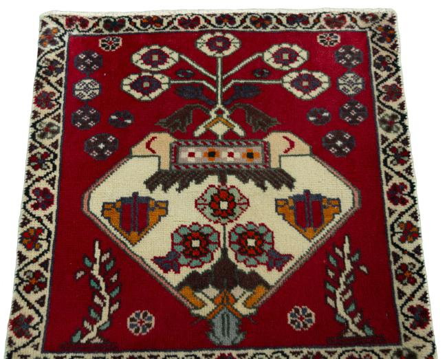 Shiraz - 3
