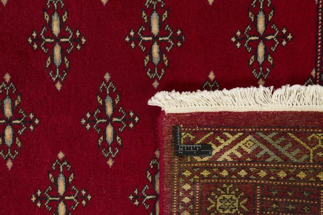 Pakistan Buchara 2ply - 1