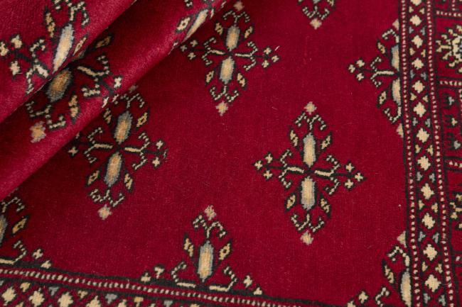 Pakistan Buchara 2ply - 2