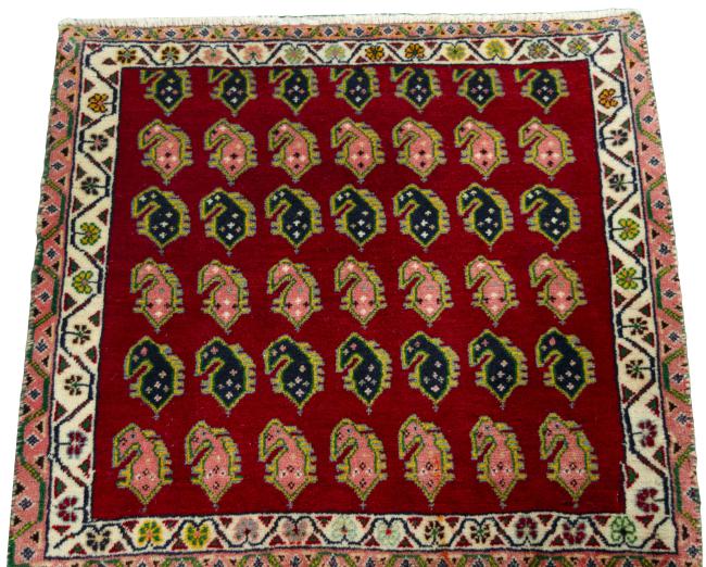 Shiraz - 3