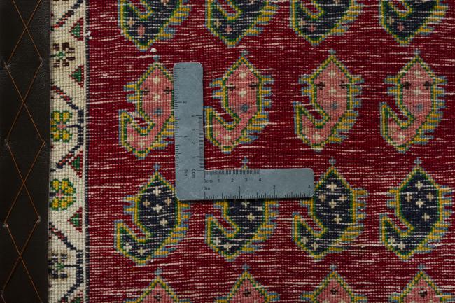 Shiraz - 4