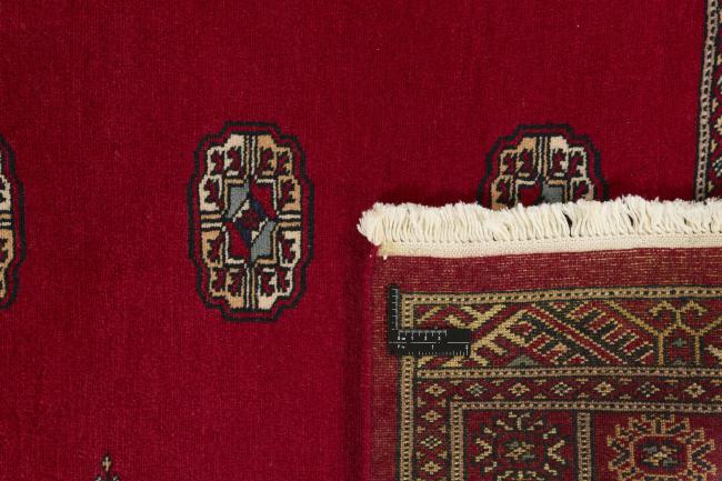 Pakistan Buchara 2ply - 1