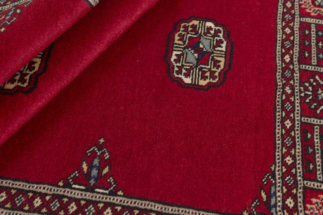 Pakistan Buchara 2ply - 2