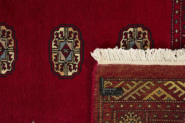 Pakistan Buchara 2ply - 1
