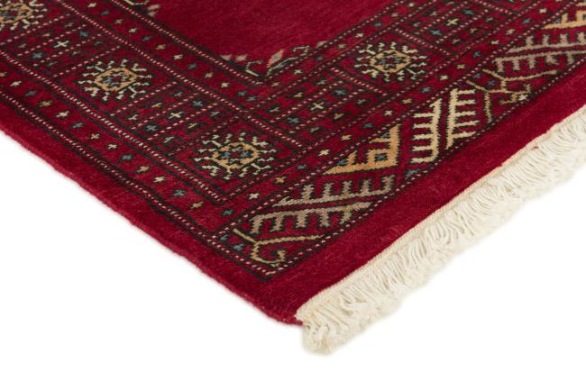 Pakistan Buchara 2ply - 3